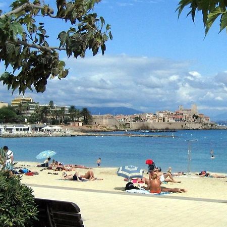 Glamorgan أنتيب المظهر الخارجي الصورة