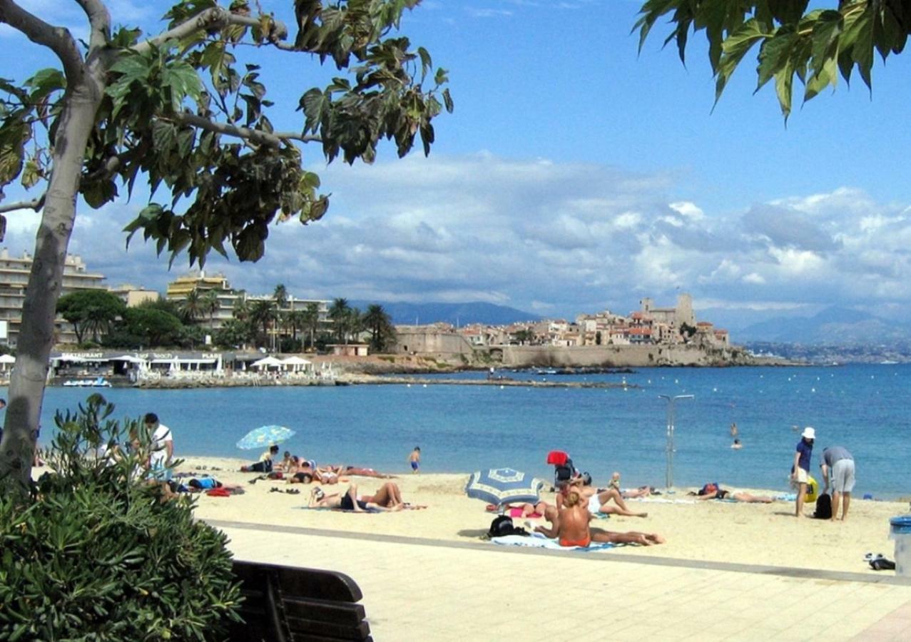 Glamorgan أنتيب المظهر الخارجي الصورة