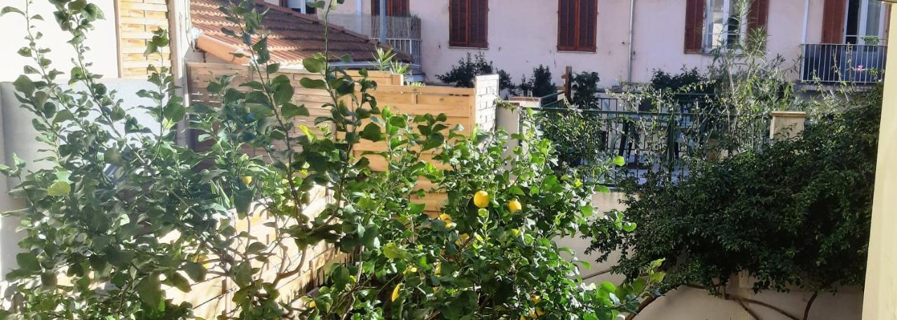 Glamorgan أنتيب المظهر الخارجي الصورة