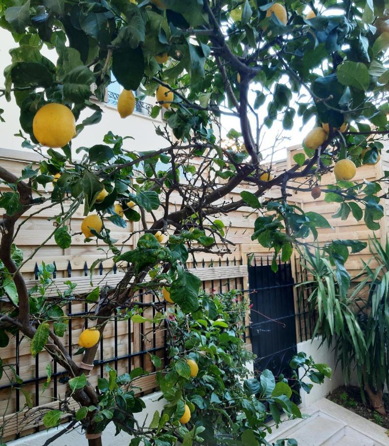 Glamorgan أنتيب المظهر الخارجي الصورة